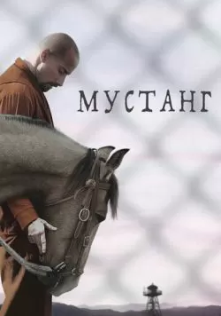 Мустанг (2017) — смотреть онлайн