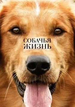 Собачья жизнь (2017) — смотреть онлайн