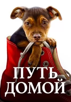 Путь домой (2019) — смотреть онлайн