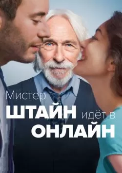 Мистер Штайн идёт в онлайн (2017) — смотреть онлайн