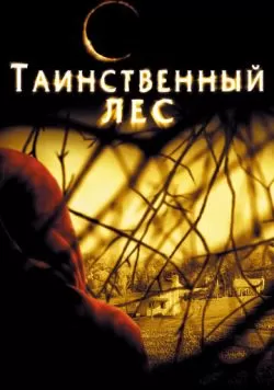 Таинственный лес (2004) — смотреть онлайн